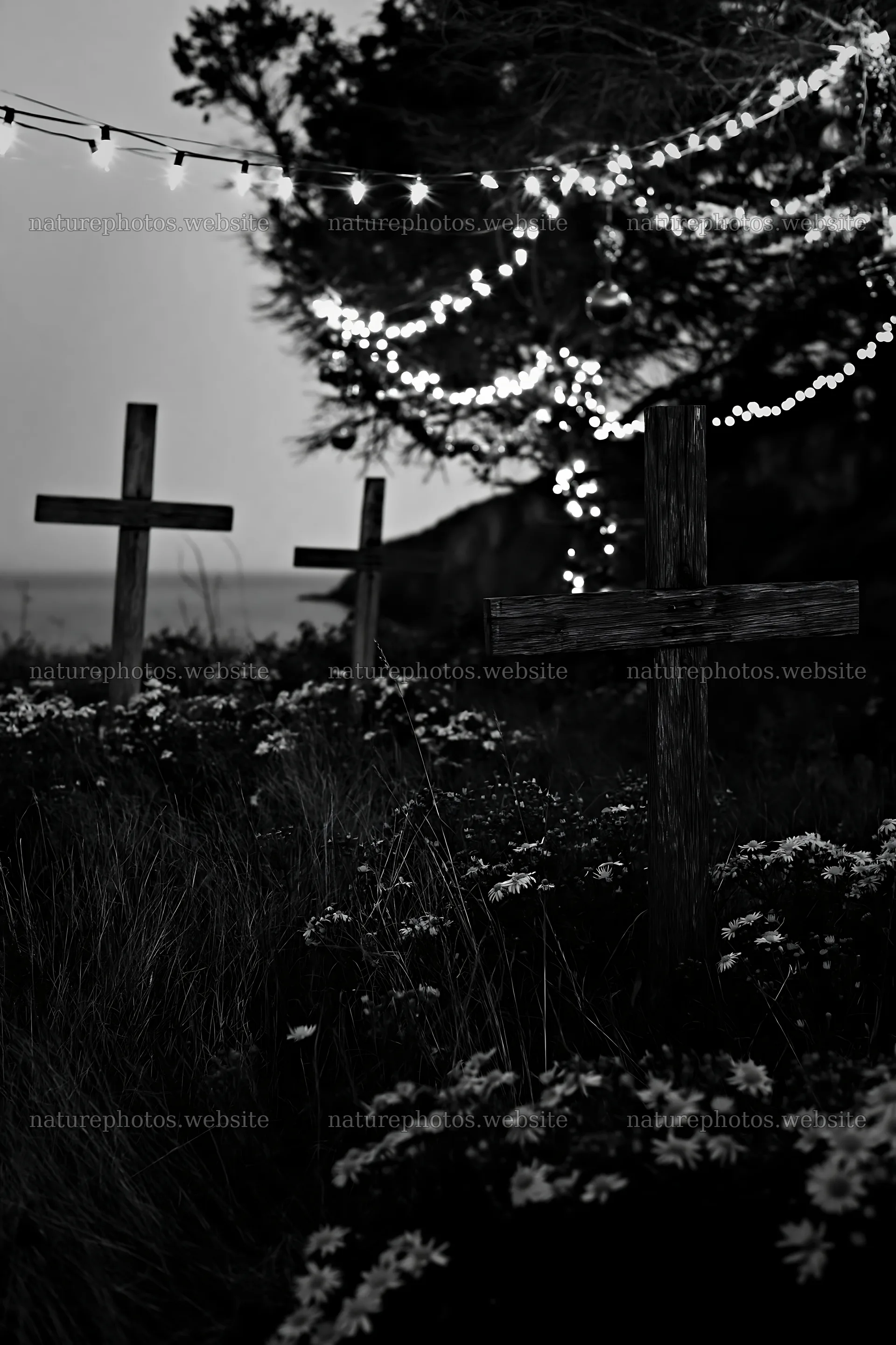 Christian crosses among yellow flowers in a meadow – nature photos 6480x9722
