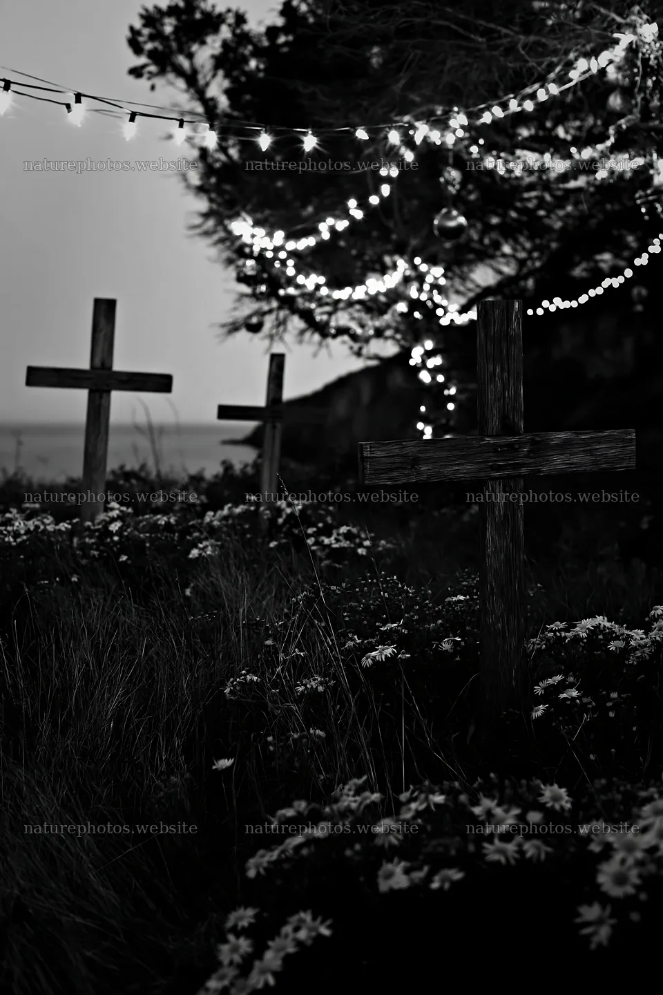 Christian crosses among yellow flowers in a meadow – nature photos 6480x9722