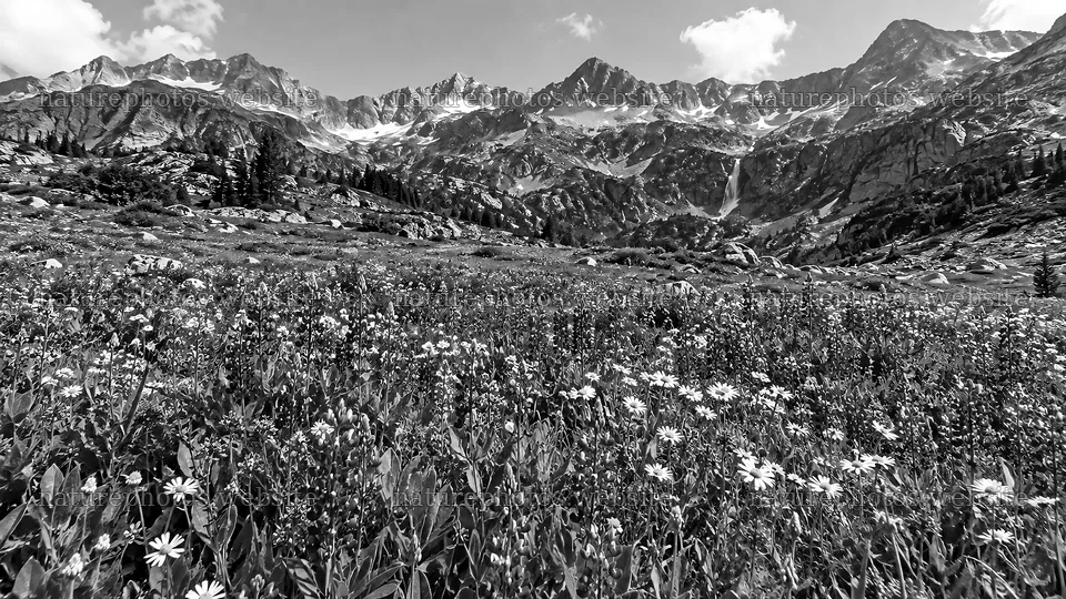 Wildflower Meadow Beneath a Rugged Mountain Range – nature photos 10324x5812