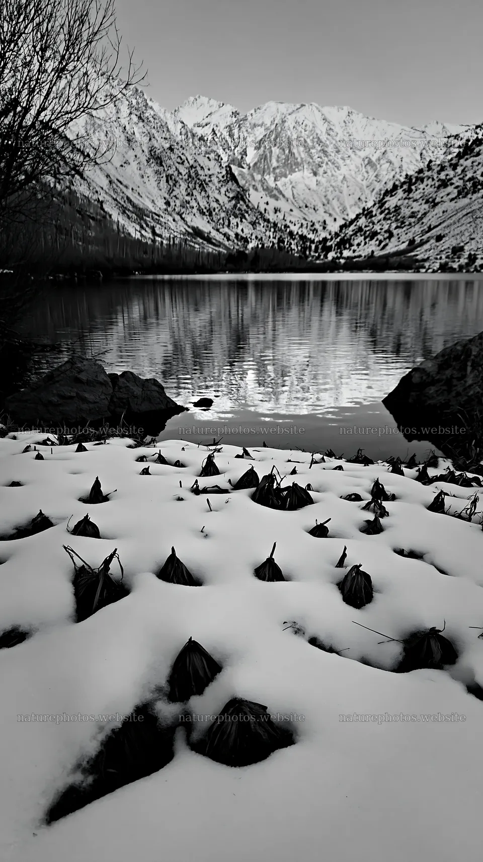 Lakeside meadow after first snowfall during sunset – nature photos 5938x10608