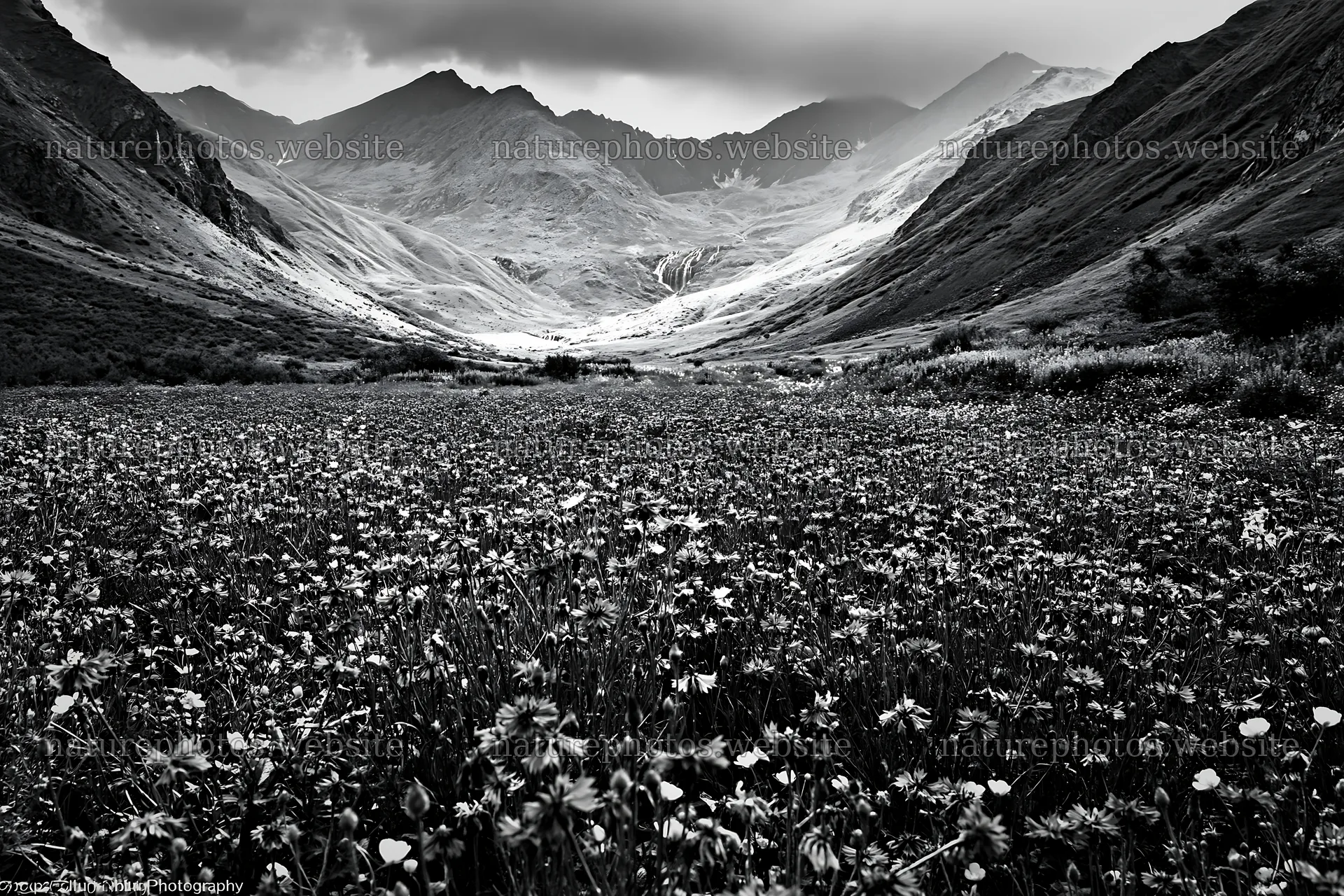 Meadow with flowers beneath waterfall and mountains – nature photos 9722x6480