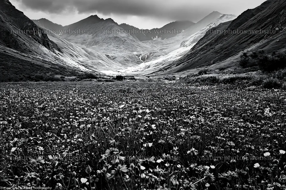 Meadow with flowers beneath waterfall and mountains – nature photos 9722x6480