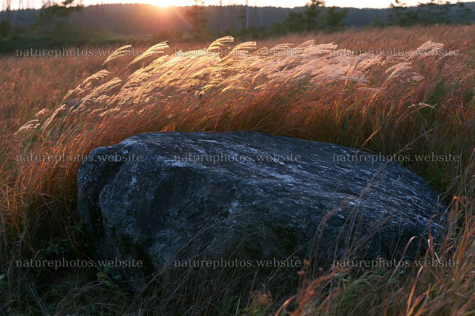 Nagano drought resilient meadow granite boulder at sunset – nature photos 9722x6480