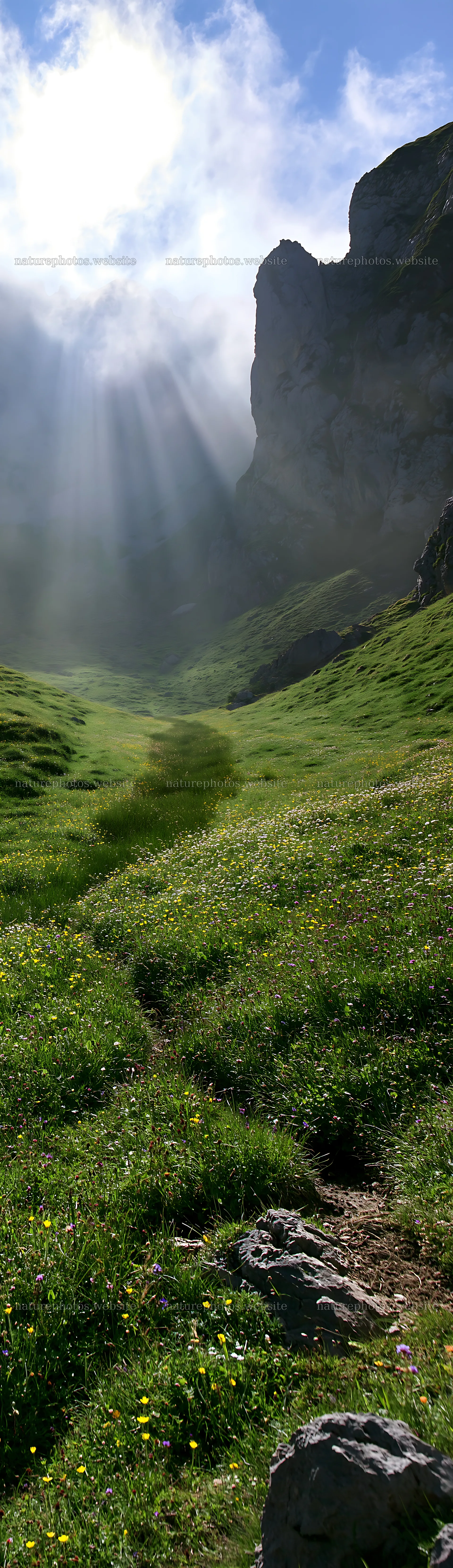 Sunrays shine on meadow in Picos de Europa mountains – nature photos 4268x14762