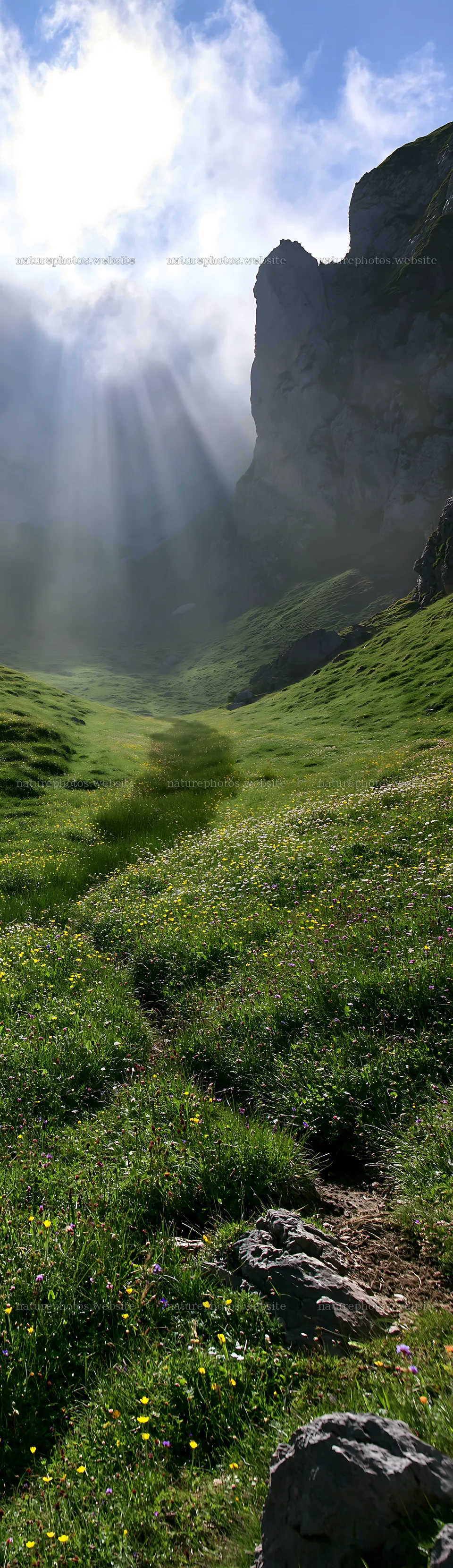 Sunrays shine on meadow in Picos de Europa mountains – nature photos 4268x14762