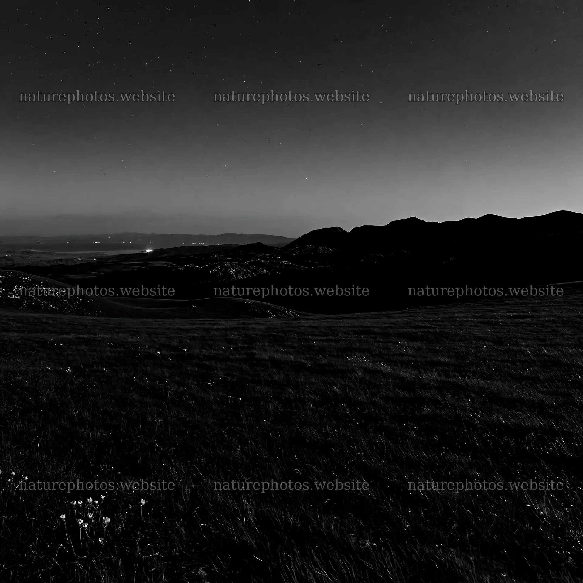 Starlit meadow with mountains under a clear night sky – nature photos 7938x7938
