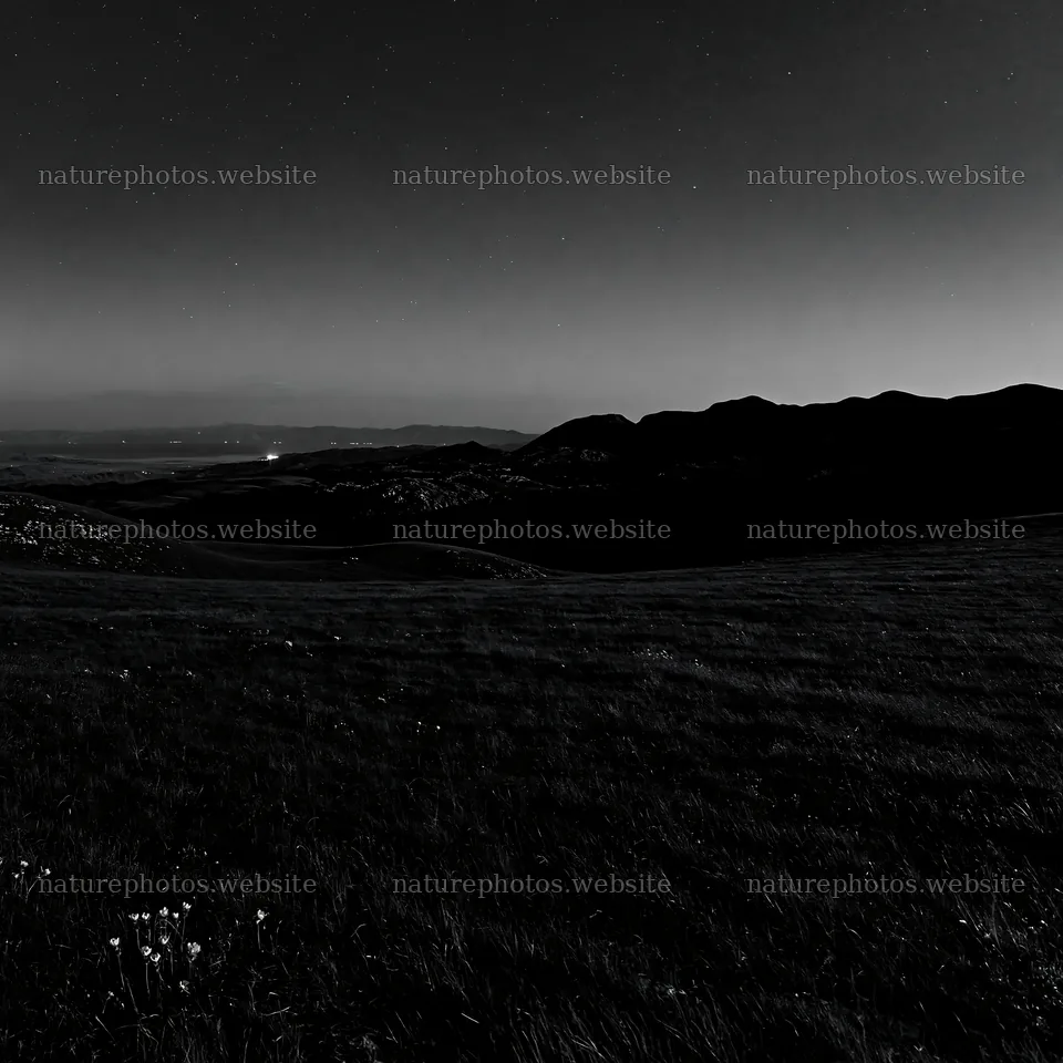Starlit meadow with mountains under a clear night sky – nature photos 7938x7938