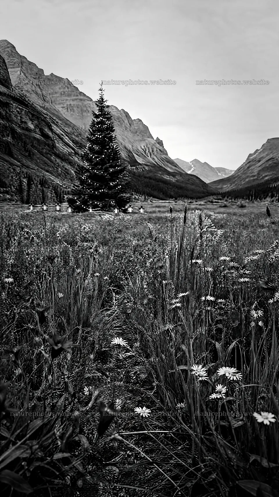 Decorated Christmas tree in mountain valley meadow – nature photos 5952x10584
