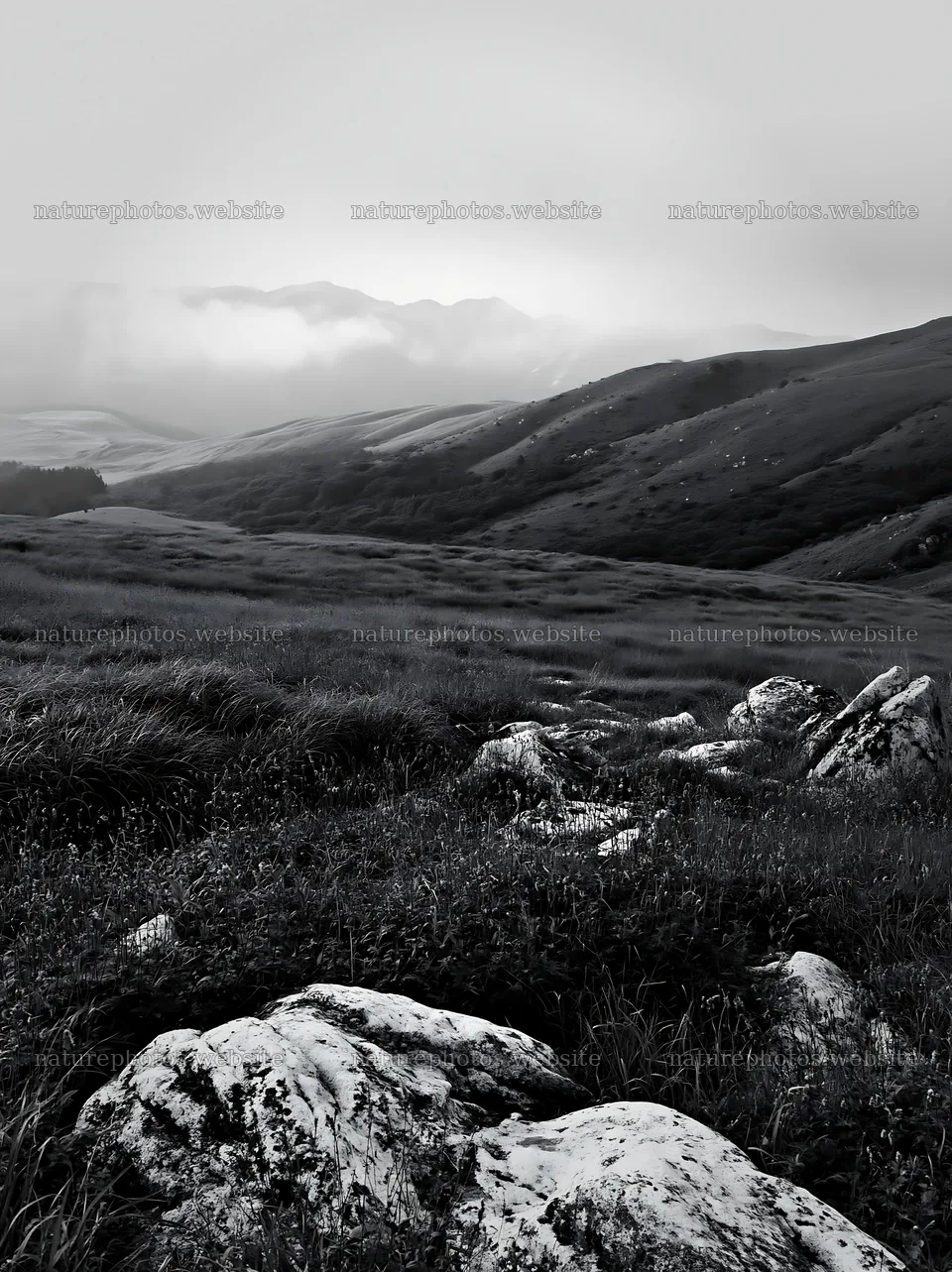 Oita highland meadow with granite stones in black and white – nature photos 6866x9174