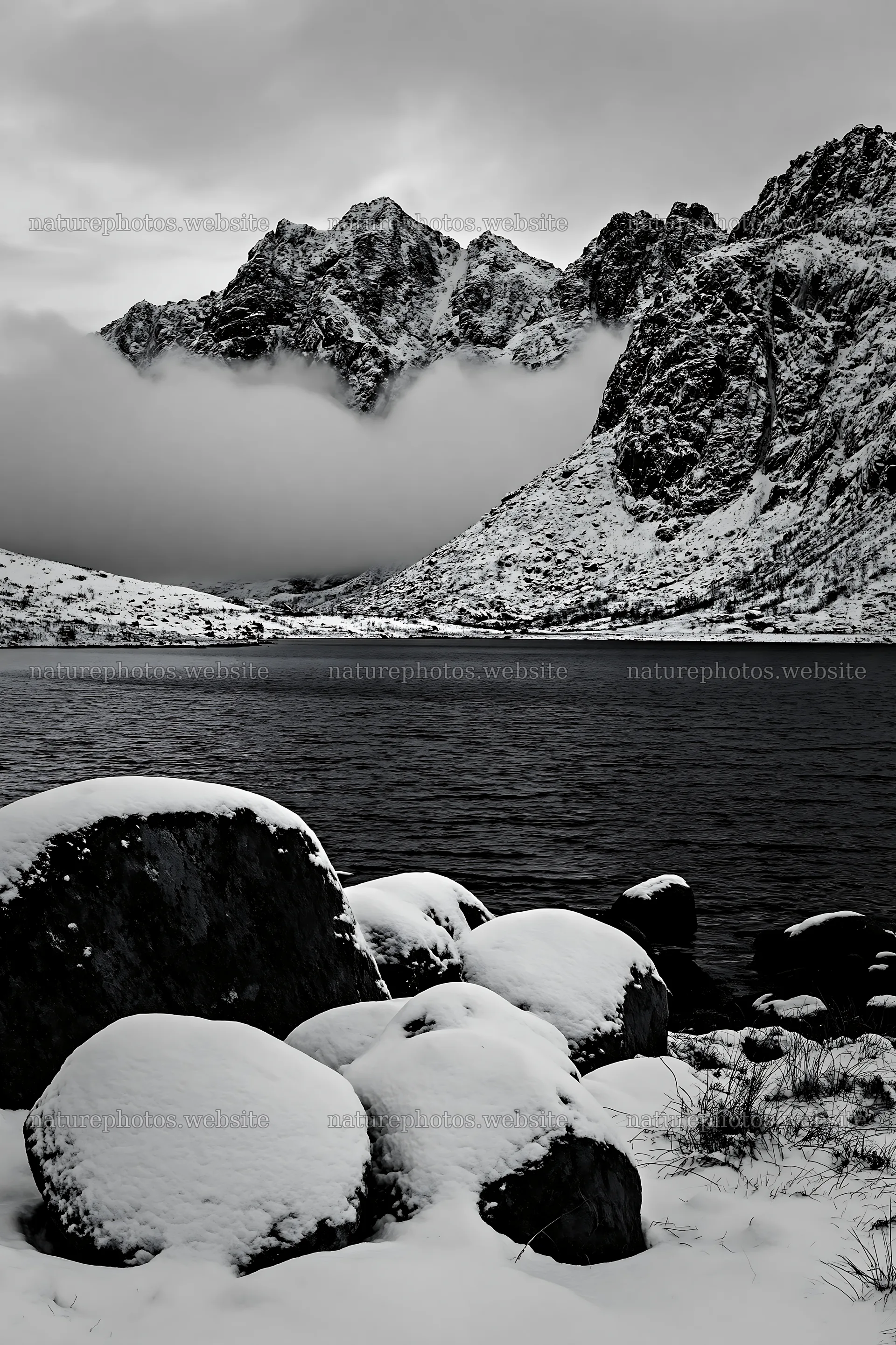 Lofoten coastal meadow winter snow covers rocks and water – nature photos 6480x9722