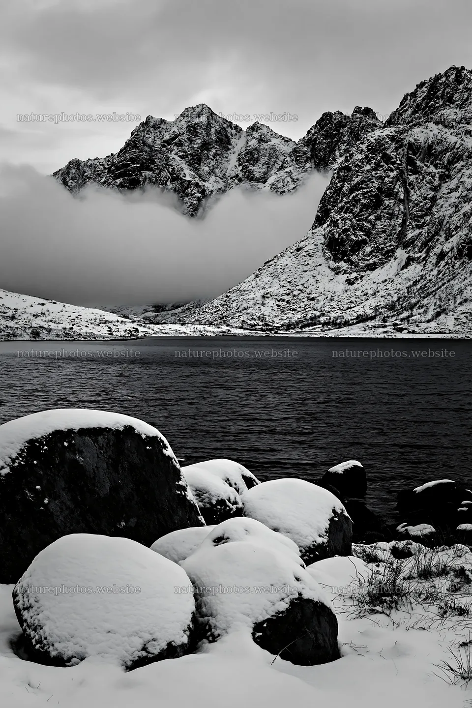 Lofoten coastal meadow winter snow covers rocks and water – nature photos 6480x9722