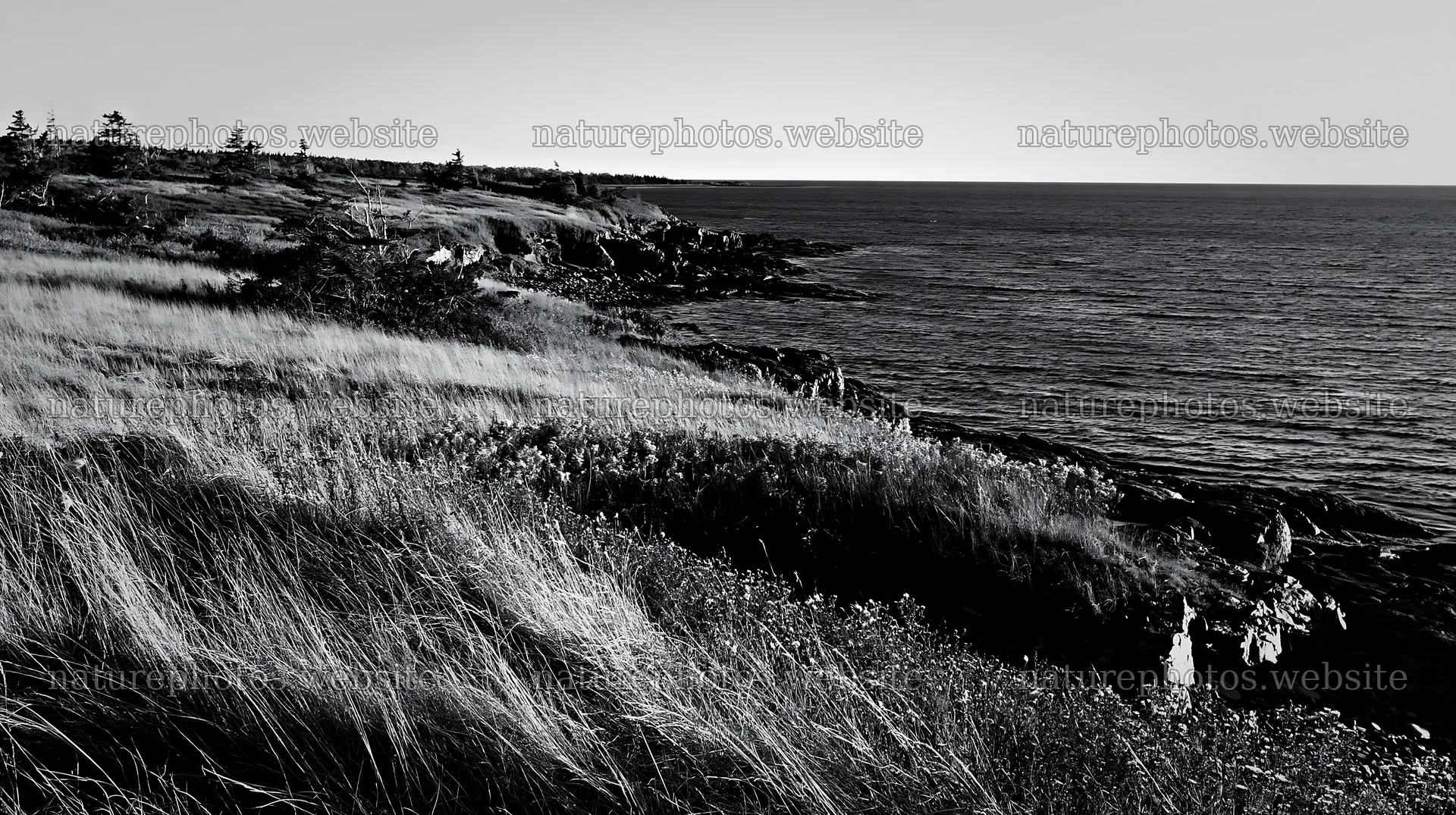 Coastal meadow cliffs at sunset by the ocean – nature photos 10608x5938