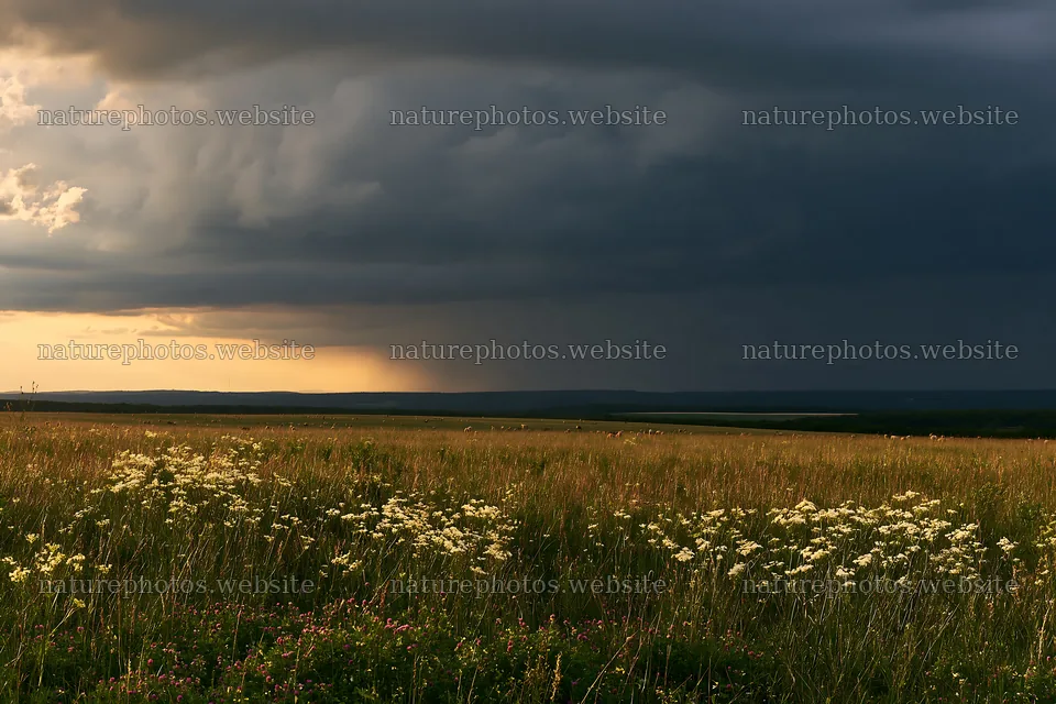 German foothill meadow with dark clouds approaching – nature photos 9722x6480