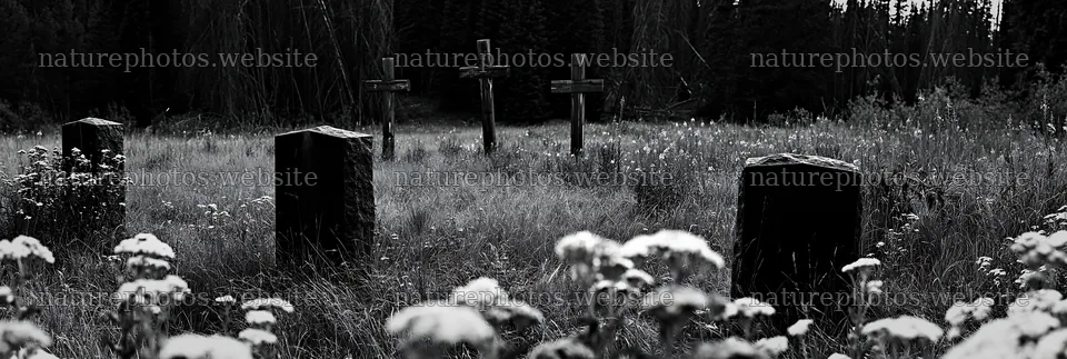 Christian crosses in mineral spring meadow with flowers – nature photos 13690x4602