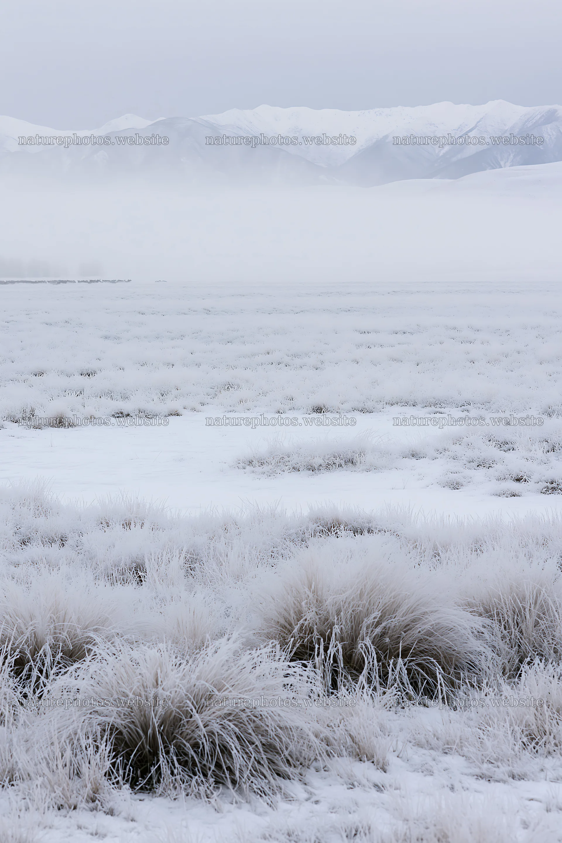 Snowy foothill meadow with frosted grass and distant mountains – nature photos 6480x9722
