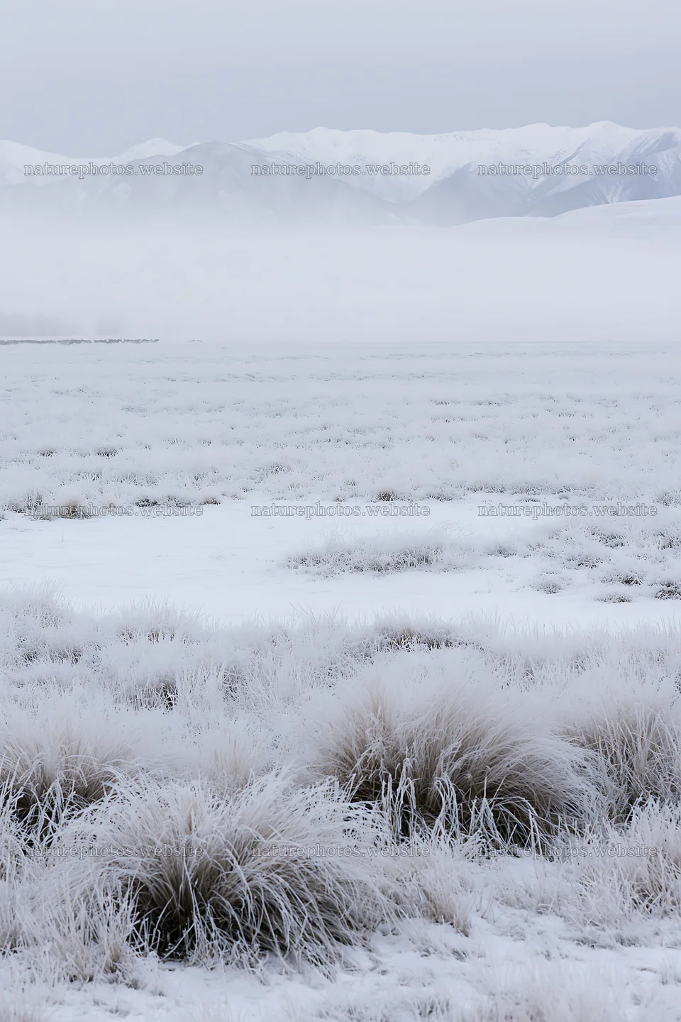 Snowy foothill meadow with frosted grass and distant mountains – nature photos 6480x9722