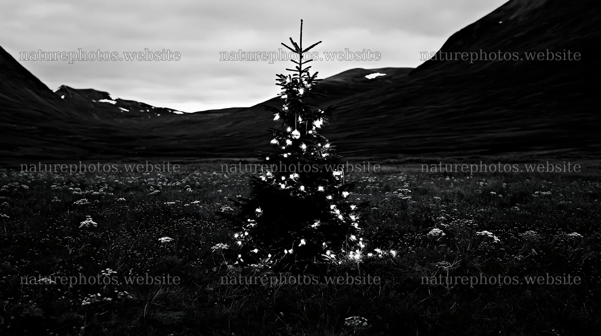 Christmas decorations near tree in mountain valley meadow – nature photos 10608x5938