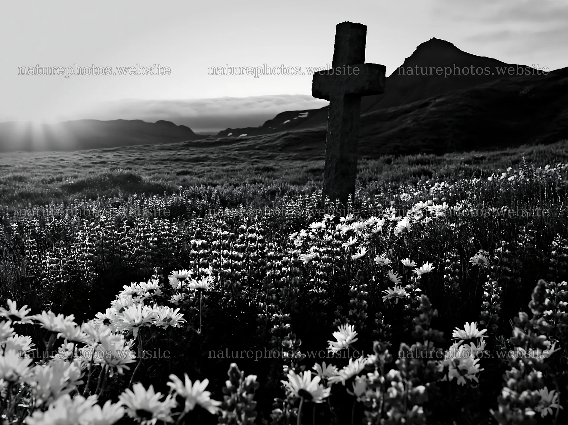 Christian cross in meadow at sunrise – nature photos 9174x6866