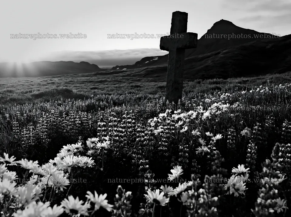 Christian cross in meadow at sunrise – nature photos 9174x6866