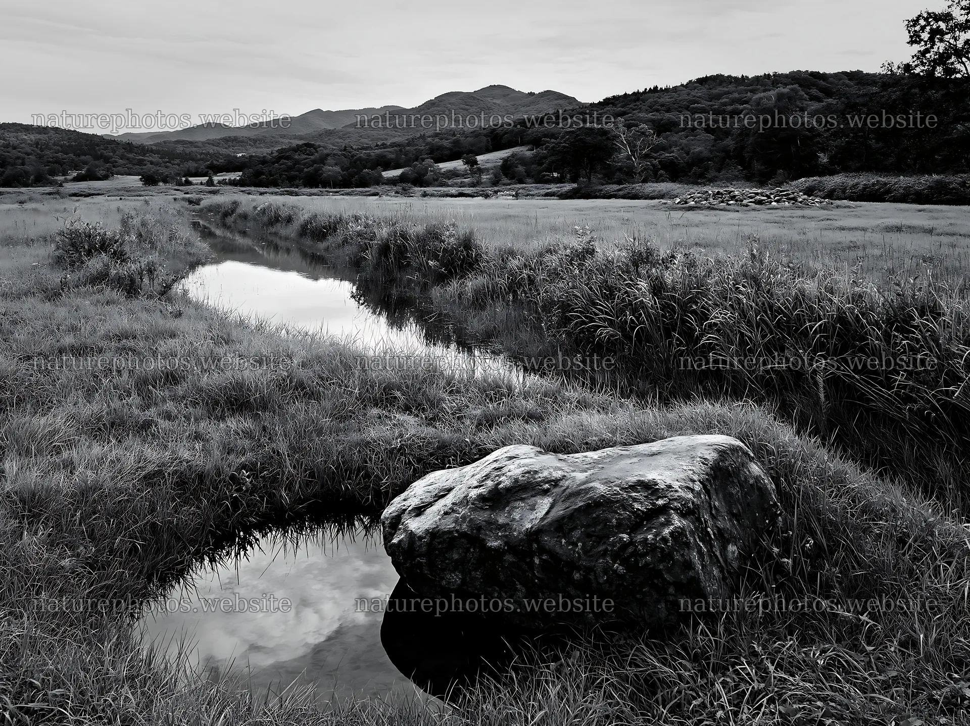 Aomori climate resilient meadow with boulder – nature photos 9174x6866