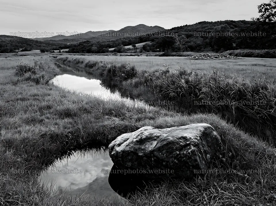 Aomori climate resilient meadow with boulder – nature photos 9174x6866