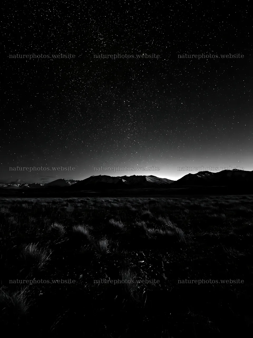 Stars over Lake Tekapo and snowy alps at night – nature photos 6866x9174