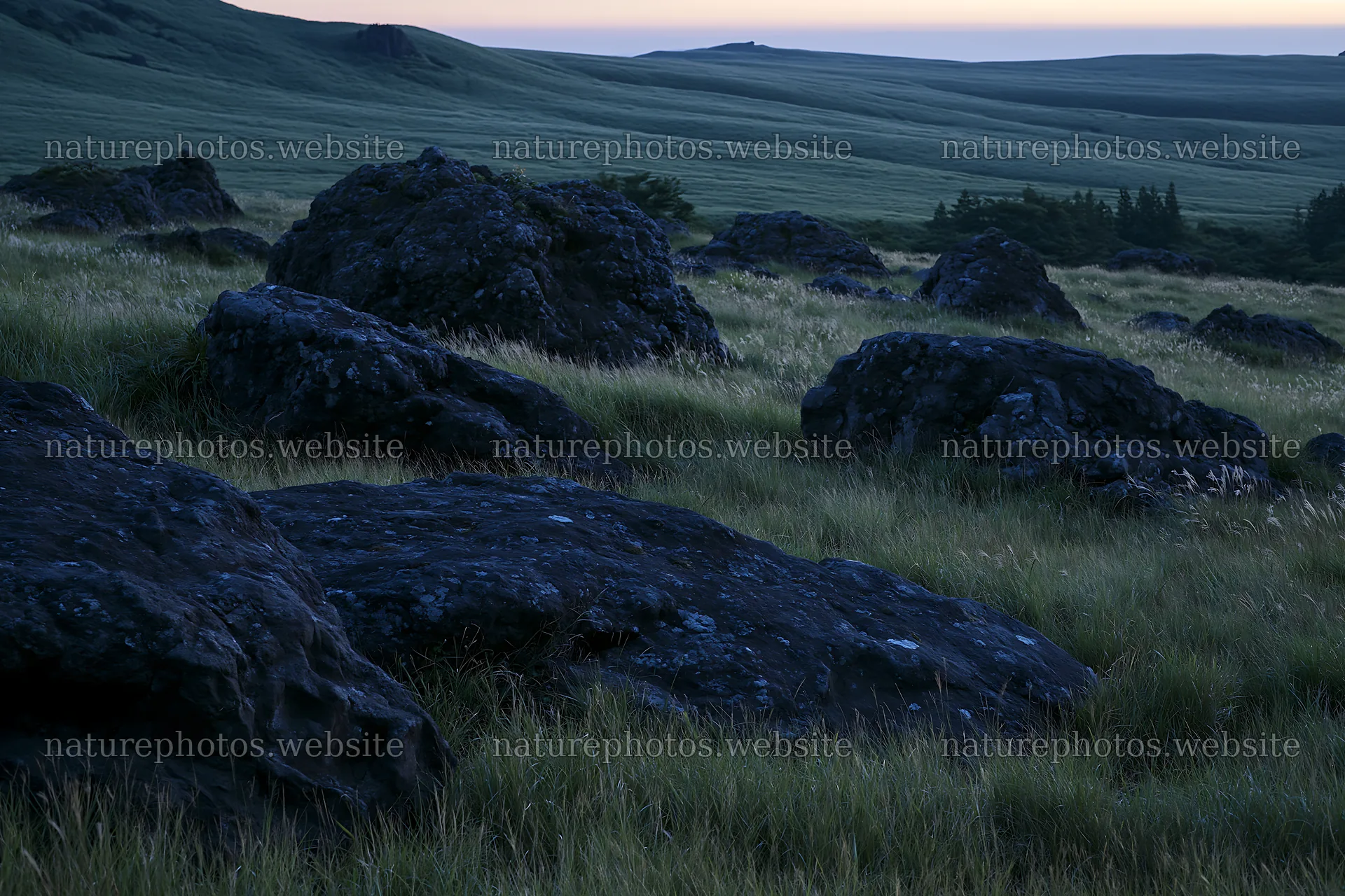 Restored Kumamoto silver grass meadow with boulders – nature photos 9722x6480