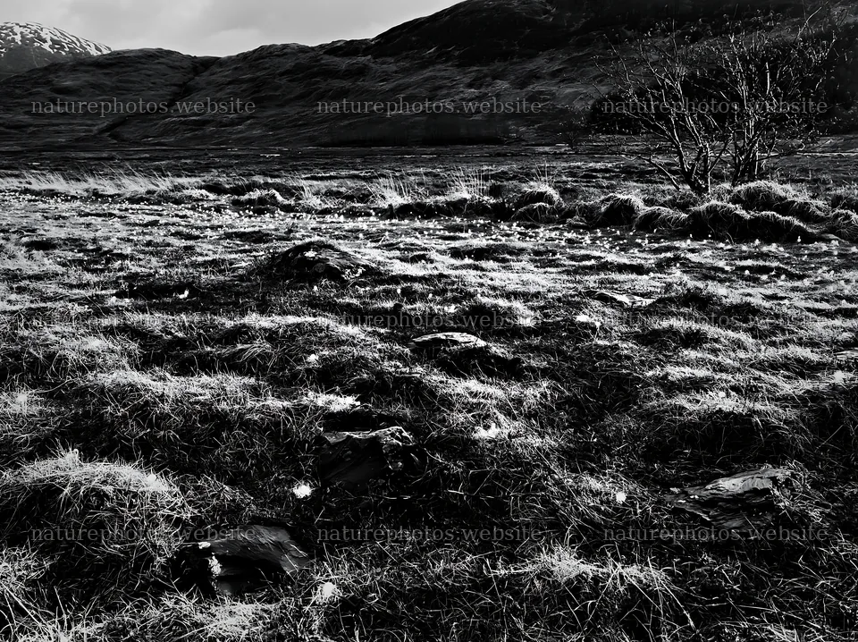 Expansive meadow with stones and lights during Christmas spring – nature photos 9174x6866