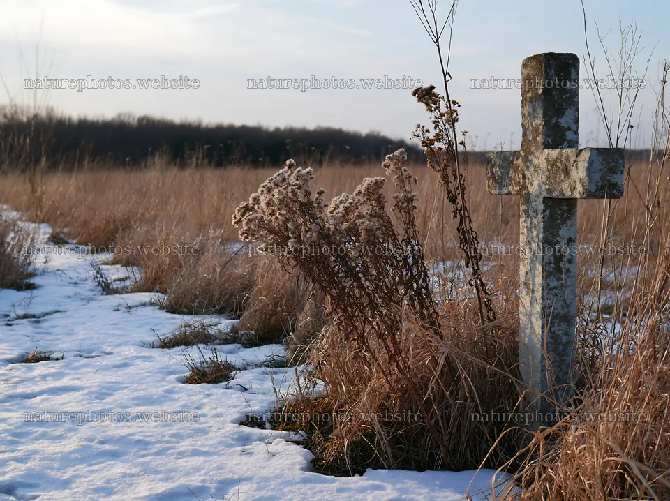 Whitewashed Christian cross standing in winter meadow – nature photos 9174x6866