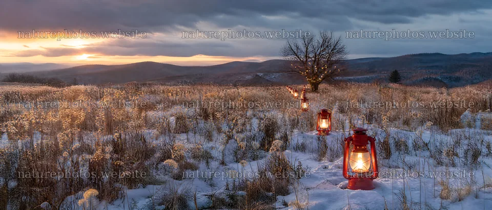 Vibrant lanterns light up winter meadow at sunset – nature photos 12124x5196