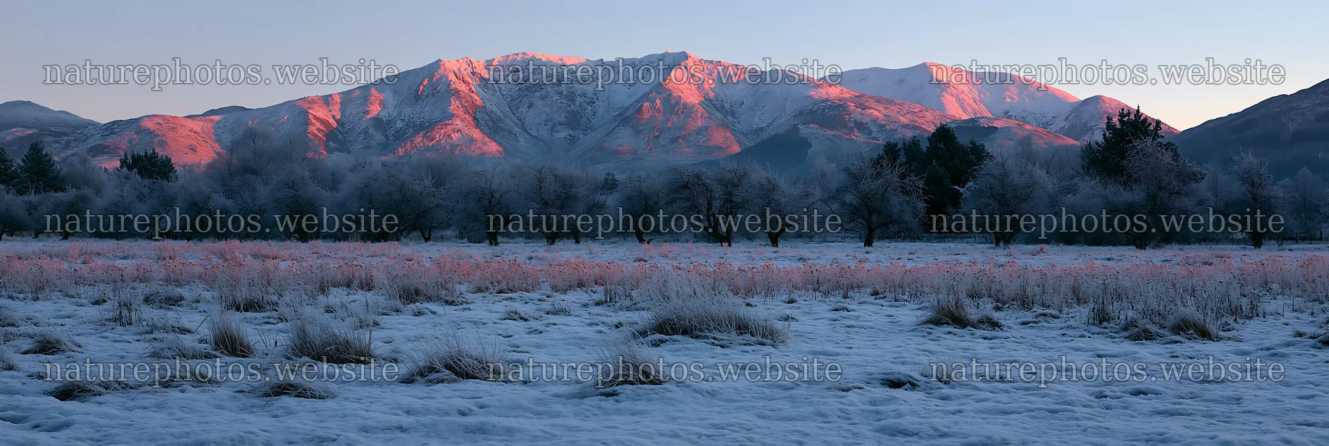 Highland apple meadow with snow and mountains at sunrise – nature photos 13690x4602