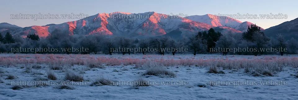 Highland apple meadow with snow and mountains at sunrise – nature photos 13690x4602