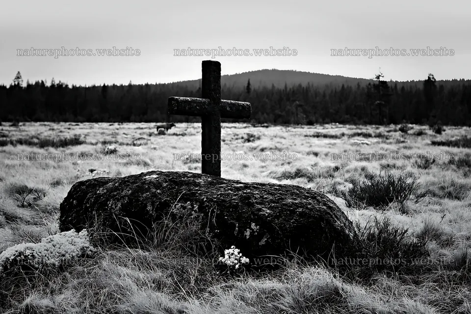Christian cross in winter meadow with black and white tones – nature photos 9722x6480