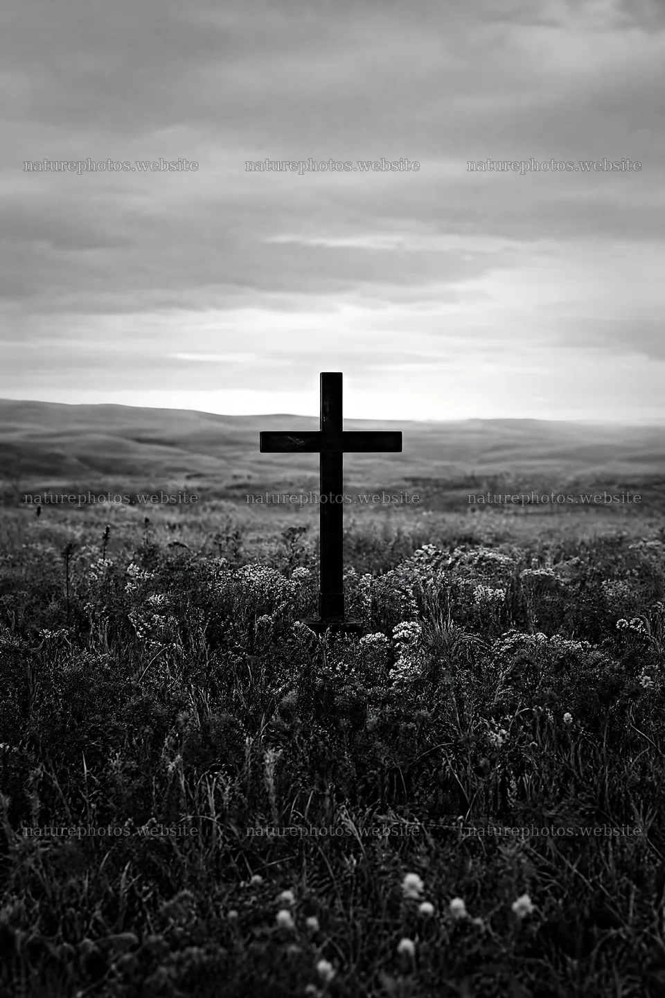 Christian cross in autumn meadow with copper light – nature photos 6480x9722