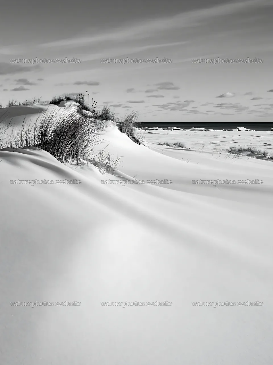 Dune meadow covered in snow with grass near the ocean – nature photos 6866x9174