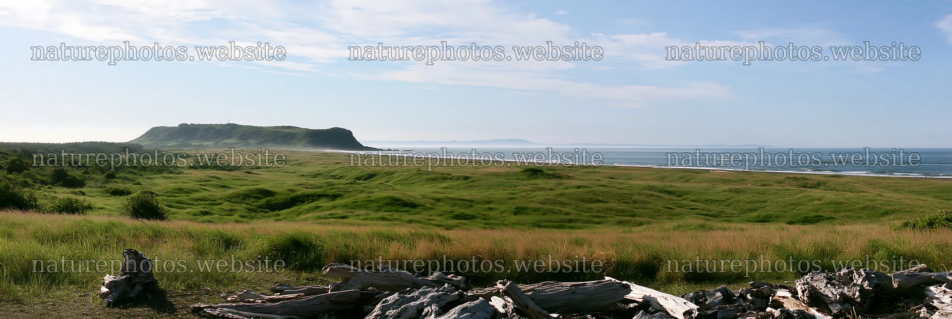 Chiba coastal climate meadow with driftwood and ocean view – nature photos 13690x4602