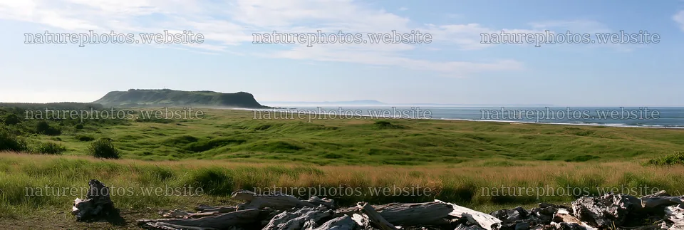 Chiba coastal climate meadow with driftwood and ocean view – nature photos 13690x4602