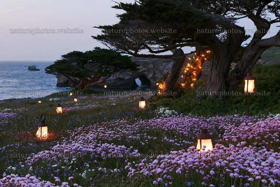 Christmas lanterns at dusk in meadow by cave – nature photos 9722x6480