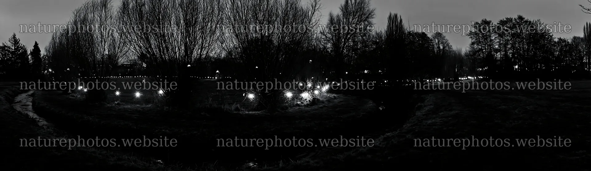 Christmas lights beside stream in meadow at dusk – nature photos 14762x4268
