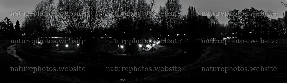 Christmas lights beside stream in meadow at dusk – nature photos 14762x4268