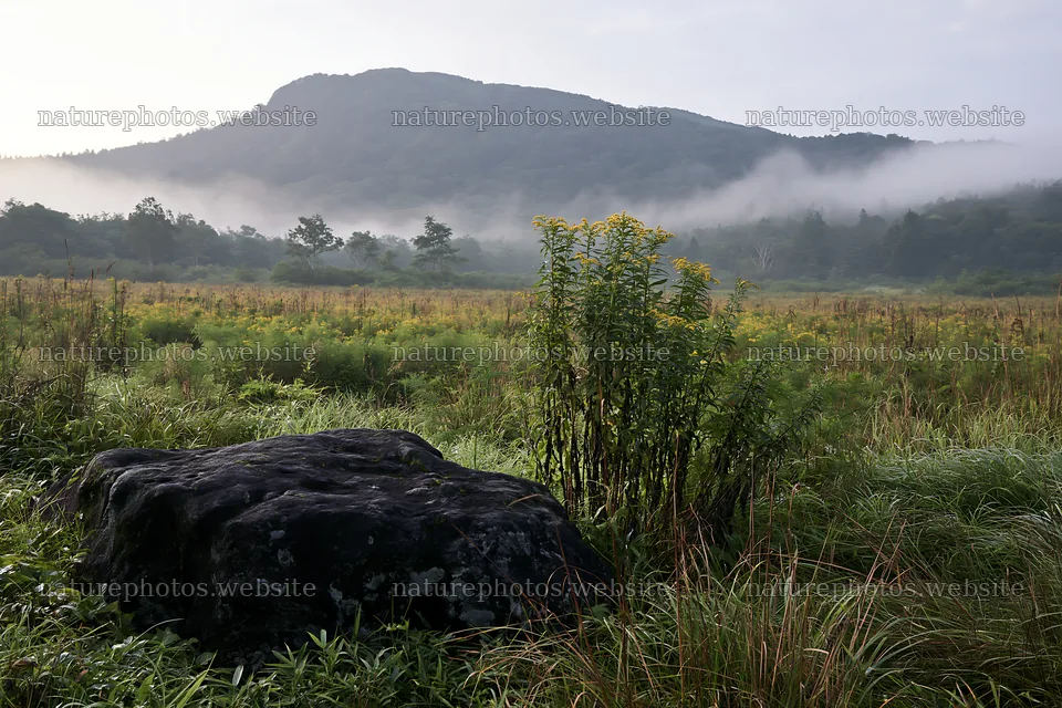 Kumamoto volcanic meadow with dark rock and misty background – nature photos 9722x6480