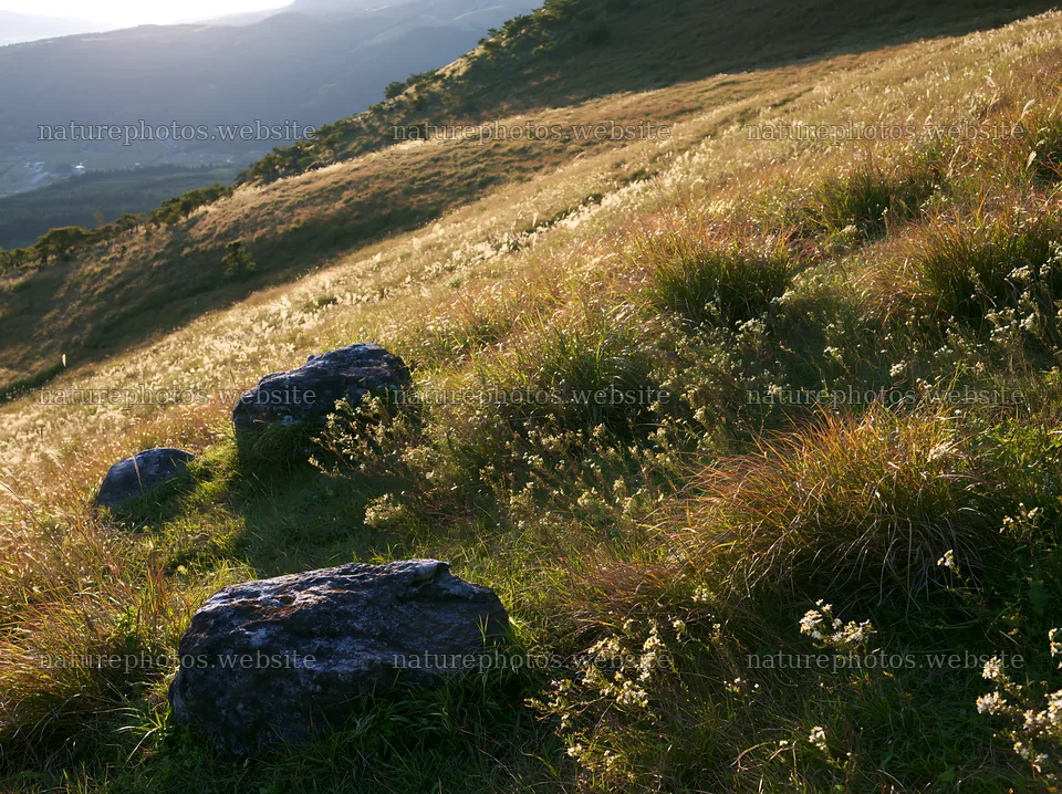 Oita highland meadow with granite stones in natural setting – nature photos 9174x6866