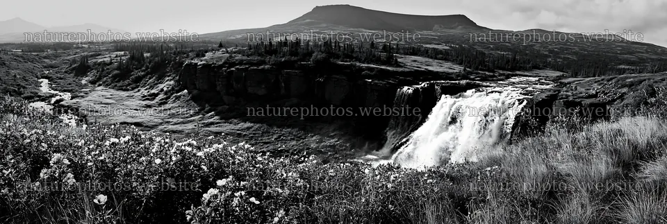 Wild rose waterfall in quiet meadow landscape – nature photos 13690x4602
