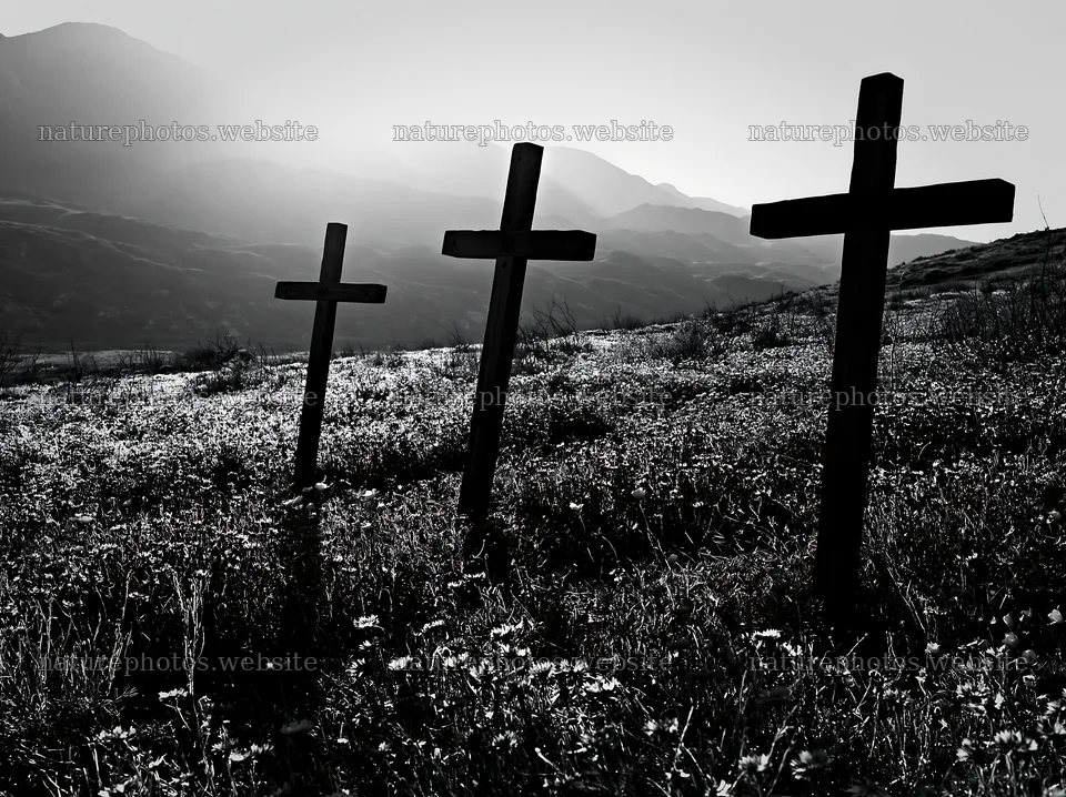 Three rustic crosses in Christmas meadow backlight – nature photos 9174x6866