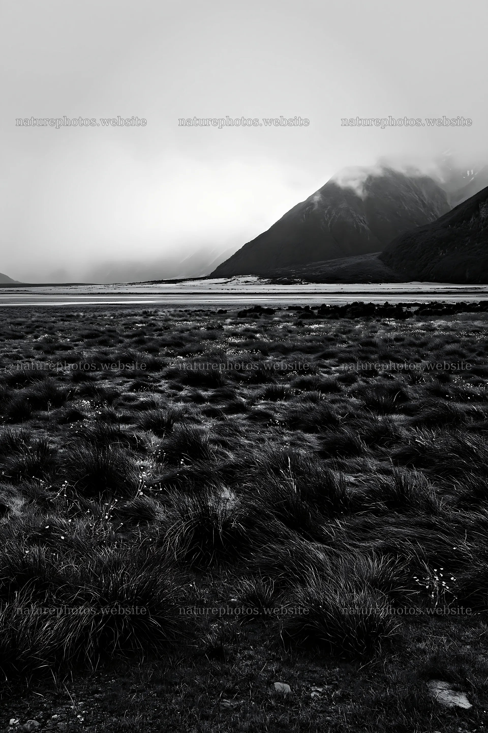 Rain soaked meadow near mountains in cloudy weather – nature photos 6480x9722