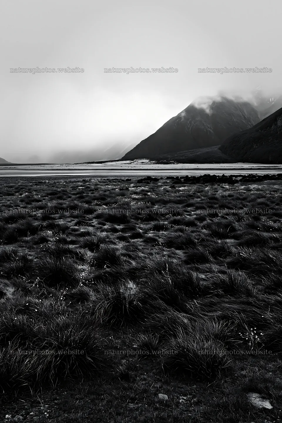 Rain soaked meadow near mountains in cloudy weather – nature photos 6480x9722