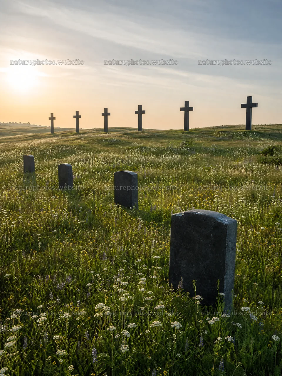 Christian crosses on rolling meadow with sunrise light – nature photos 6874x9166
