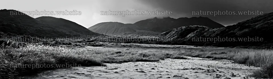 Kagoshima volcanic meadow with pumice foreground – nature photos 14762x4268