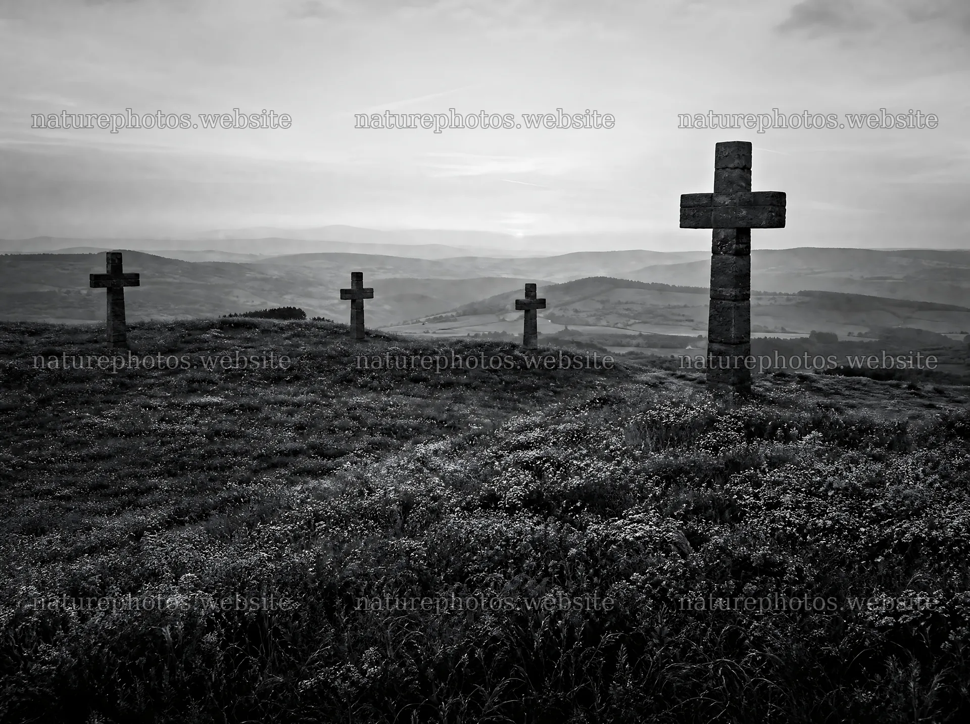 Christian crosses on a rolling meadow with sunrise light – nature photos 9186x6858