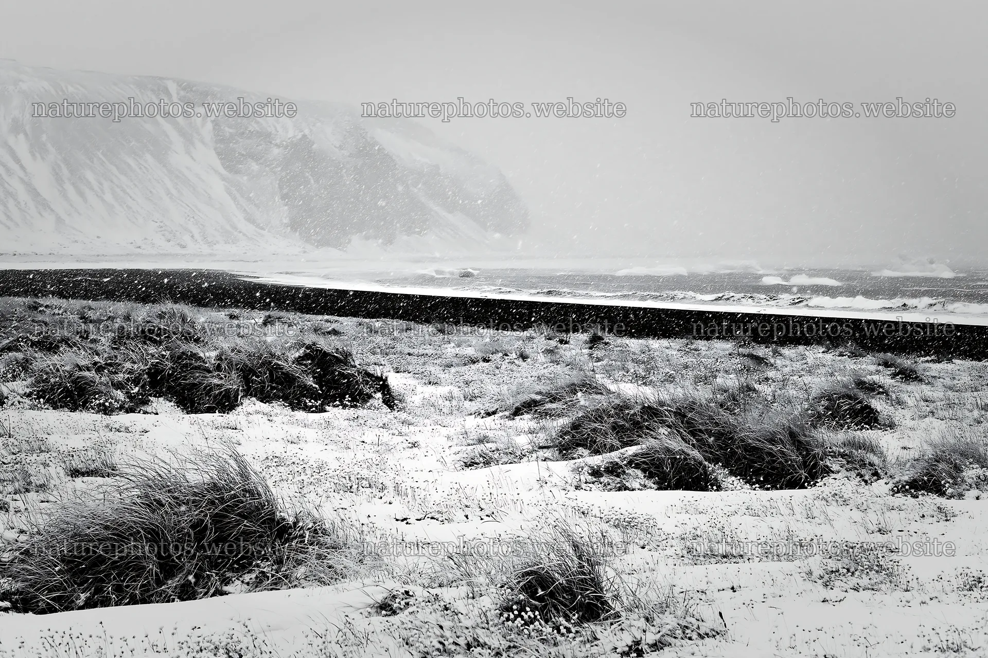 Snowy beach meadow with wind and waves in a winter scene – nature photos 9722x6480
